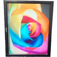 Dell P170ST 15" Monitor 1280x1024 75Hz 5ms DVI VGA VESA #3